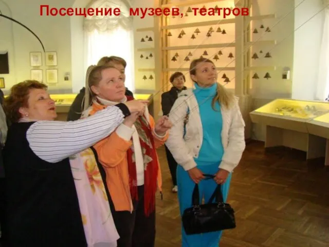 Посещение музеев, театров