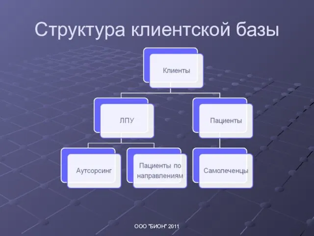 Структура клиентской базы ООО "БИОН" 2011