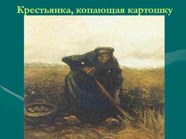 Крестьянка, копающая картошку