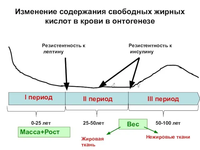 0-25 лет 25-50лет 50-100 лет Изменение содержания свободных жирных кислот в крови