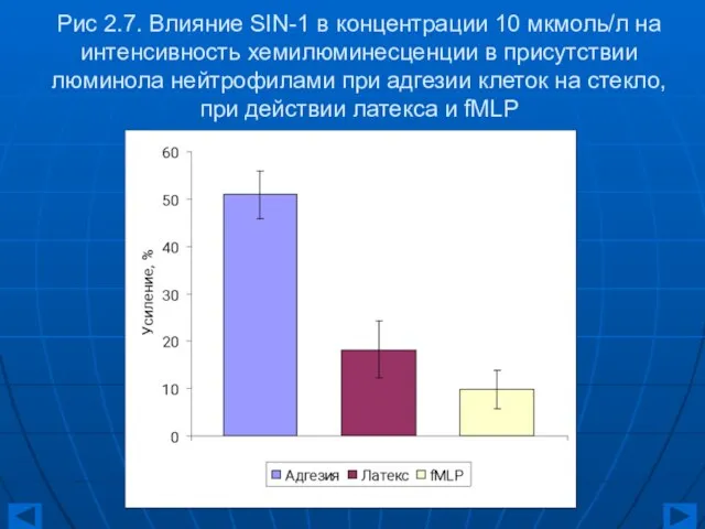 Рис 2.7. Влияние SIN-1 в концентрации 10 мкмоль/л на интенсивность хемилюминесценции в