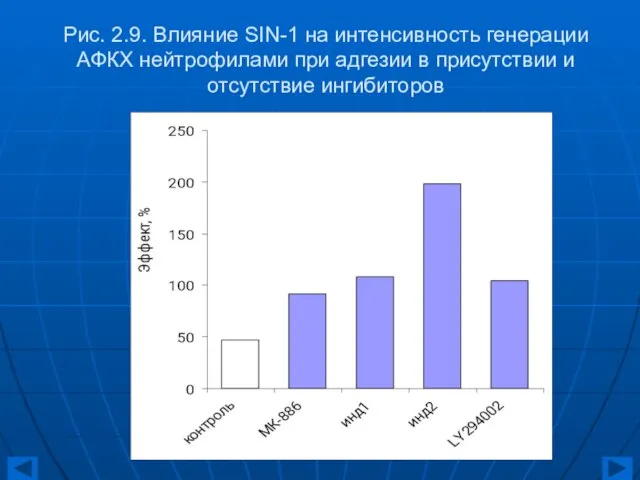 Рис. 2.9. Влияние SIN-1 на интенсивность генерации АФКХ нейтрофилами при адгезии в присутствии и отсутствие ингибиторов