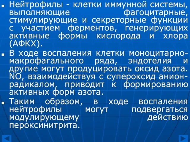 Нейтрофилы - клетки иммунной системы, выполняющие фагоцитарные, стимулирующие и секреторные функции с