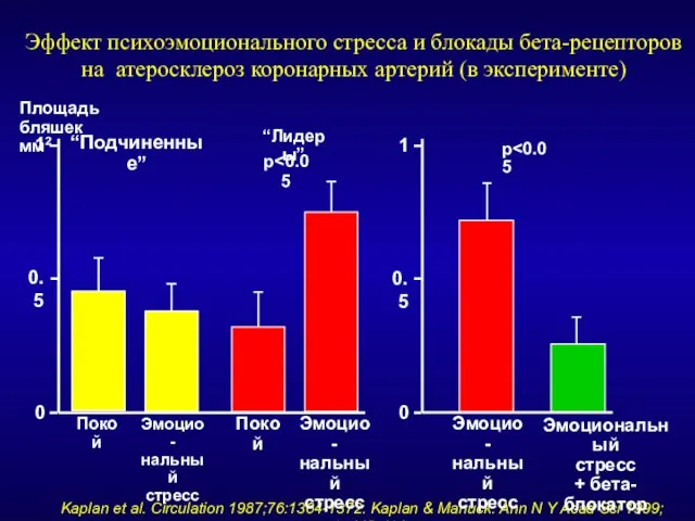 0 0.5 1 Площадь бляшек мм2 Покой “Подчиненные” “Лидеры” Эффект психоэмоционального стресса