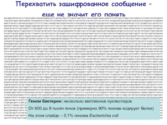 Перехватить зашифрованное сообщение – еще не значит его понять Геном бактерии: несколько