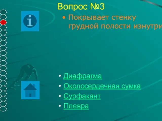 Вопрос №3 Покрывает стенку грудной полости изнутри Диафрагма Околосердечная сумка Сурфакант Плевра