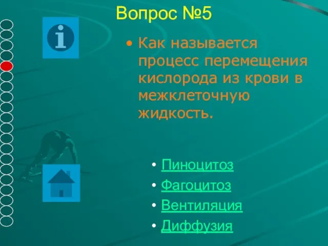 Вопрос №5 Как называется процесс перемещения кислорода из крови в межклеточную жидкость. Пиноцитоз Фагоцитоз Вентиляция Диффузия