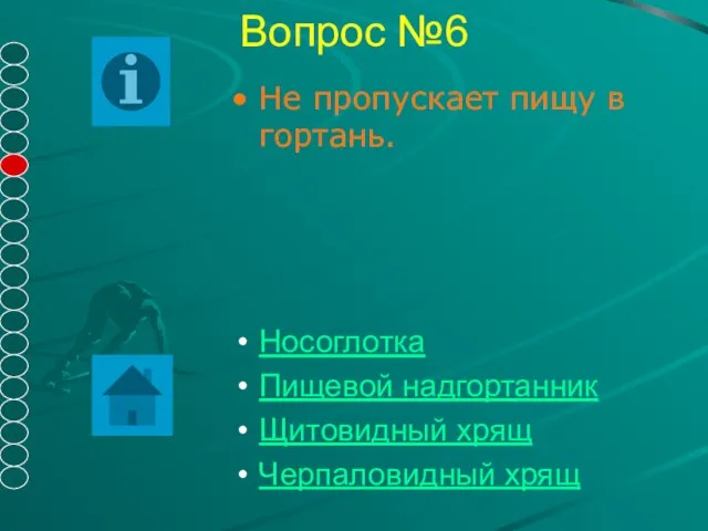 Вопрос №6 Не пропускает пищу в гортань. Носоглотка Пищевой надгортанник Щитовидный хрящ Черпаловидный хрящ