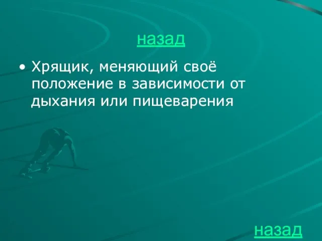 назад Хрящик, меняющий своё положение в зависимости от дыхания или пищеварения назад