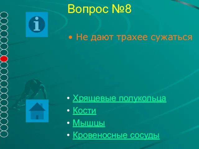 Вопрос №8 Не дают трахее сужаться Хрящевые полукольца Кости Мышцы Кровеносные сосуды