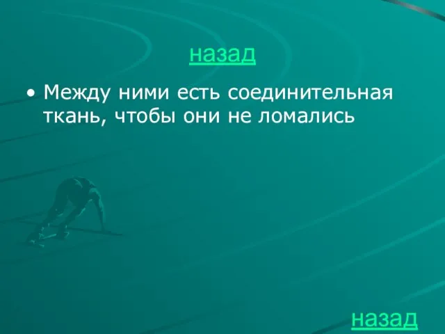 назад Между ними есть соединительная ткань, чтобы они не ломались назад