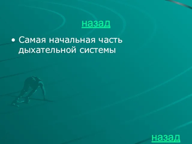 назад Самая начальная часть дыхательной системы назад