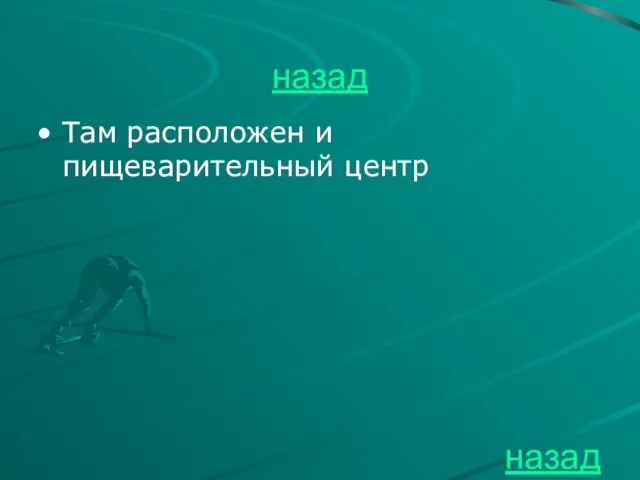 назад Там расположен и пищеварительный центр назад