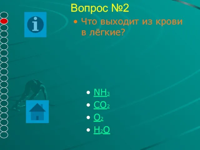 Вопрос №2 NH3 СО2 О2 Н2О Что выходит из крови в лёгкие?