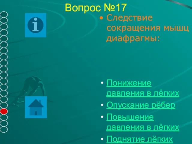 Вопрос №17 Следствие сокращения мышц диафрагмы: Понижение давления в лёгких Опускание рёбер