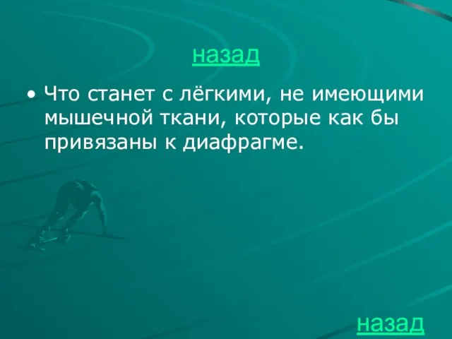 назад Что станет с лёгкими, не имеющими мышечной ткани, которые как бы привязаны к диафрагме. назад