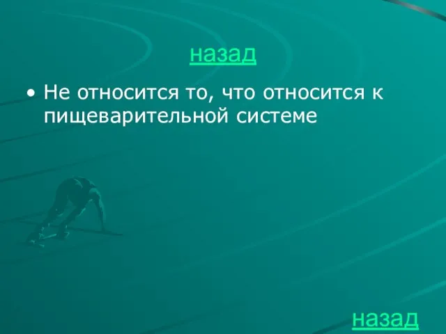 назад Не относится то, что относится к пищеварительной системе назад