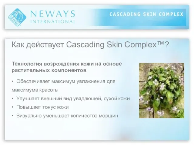 Как действует Cascading Skin Complex™? Технология возрождения кожи на основе растительных компонентов