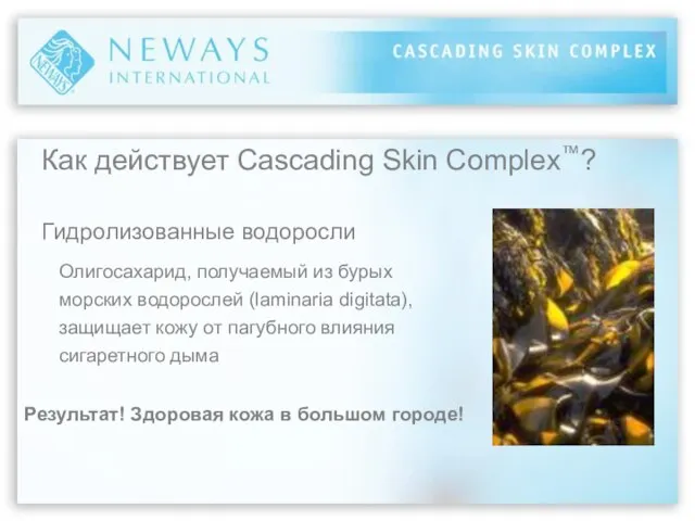 Как действует Cascading Skin Complex™? Гидролизованные водоросли Олигосахарид, получаемый из бурых морских