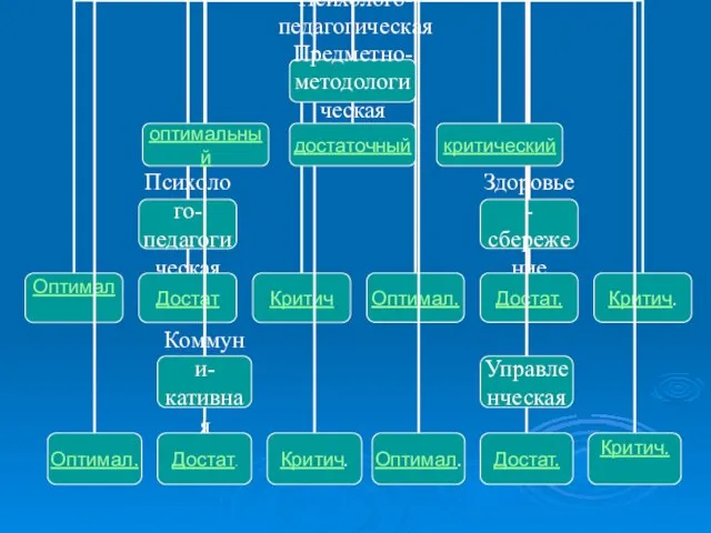 Психолого- педагогическая