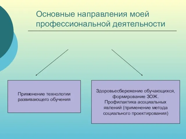 Основные направления моей профессиональной деятельности Применение технологии развивающего обучения Здоровьесбережение обучающихся, формирование