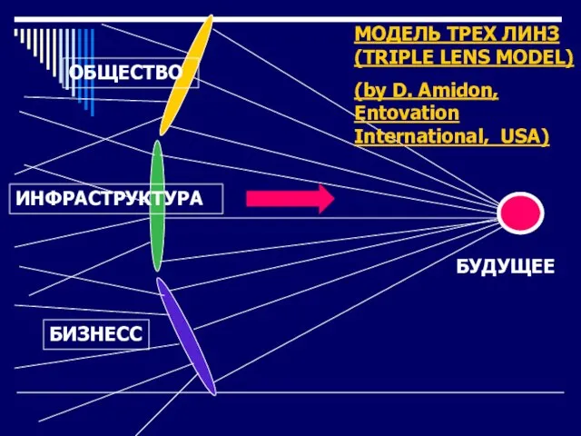 БИЗНЕСС ИНФРАСТРУКТУРА ОБЩЕСТВО БУДУЩЕЕ МОДЕЛЬ ТРЕХ ЛИНЗ (TRIPLE LENS MODEL) (by D. Amidon, Entovation International, USA)