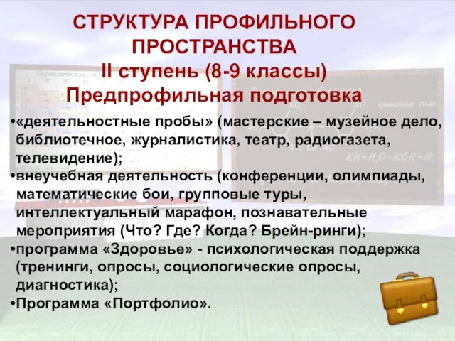 СТРУКТУРА ПРОФИЛЬНОГО ПРОСТРАНСТВА II ступень (8-9 классы) Предпрофильная подготовка СТРУКТУРА ПРОФИЛЬНОГО ПРОСТРАНСТВА