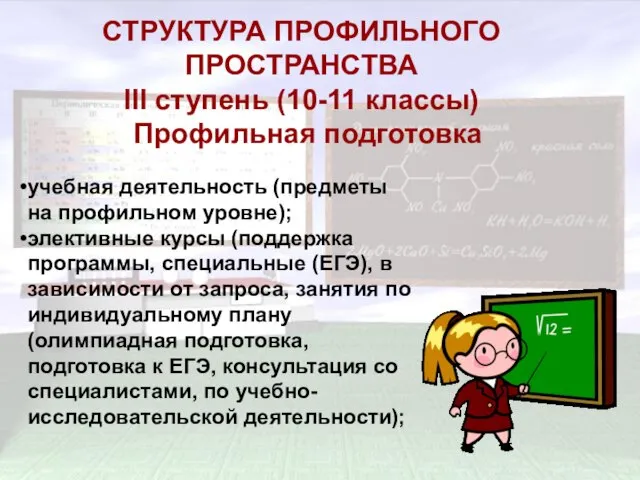 СТРУКТУРА ПРОФИЛЬНОГО ПРОСТРАНСТВА III ступень (10-11 классы) Профильная подготовка СТРУКТУРА ПРОФИЛЬНОГО ПРОСТРАНСТВА