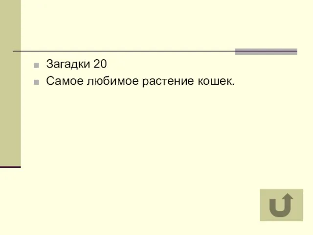 Загадки 20 Самое любимое растение кошек.