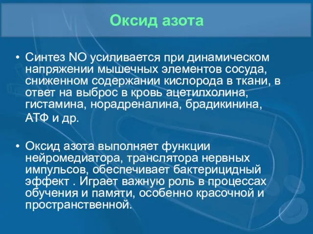 Оксид азота Синтез NO усиливается при динамическом напряжении мышечных элементов сосуда, сниженном