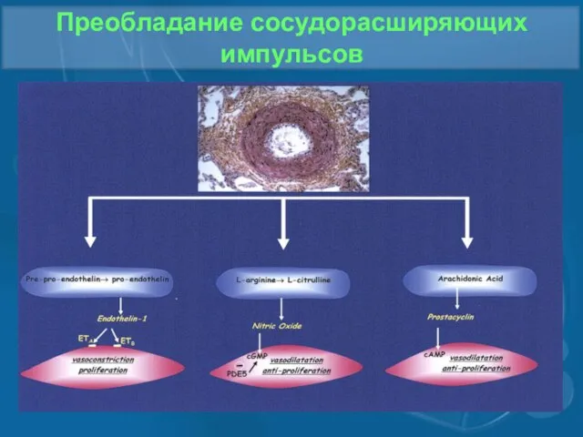 Преобладание сосудорасширяющих импульсов