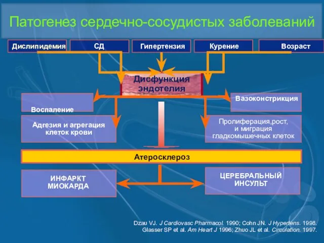 Патогенез сердечно-сосудистых заболеваний Дисфункция эндотелия Dzau VJ. J Cardiovasc Pharmacol. 1990; Cohn