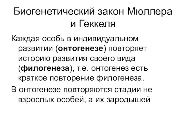 Биогенетический закон Мюллера и Геккеля Каждая особь в индивидуальном развитии (онтогенезе) повторяет