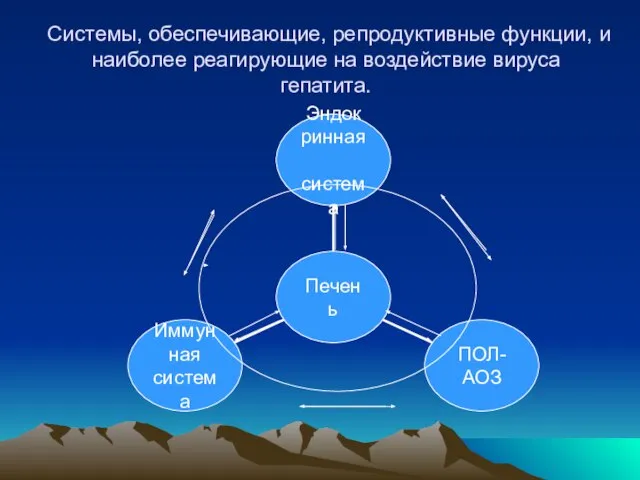 Системы, обеспечивающие, репродуктивные функции, и наиболее реагирующие на воздействие вируса гепатита.