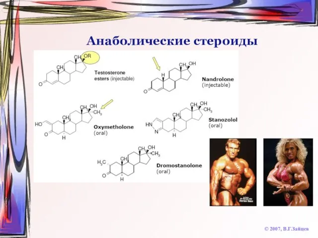 Анаболические стероиды © 2007, В.Г.Зайцев