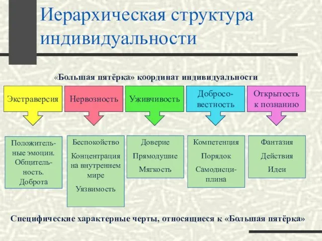 Иерархическая структура индивидуальности Экстраверсия Нервозность Уживчивость Добросо- вестность Открытость к познанию Положитель-ные