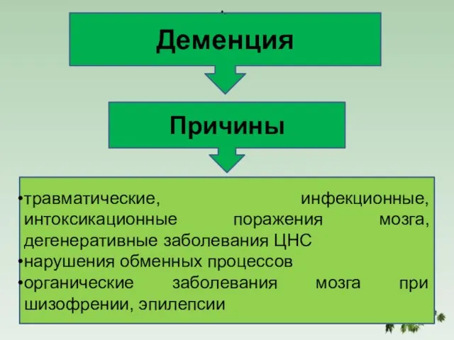 Деменция Причины травматические, инфекционные, интоксикационные поражения мозга, дегенеративные заболевания ЦНС нарушения обменных