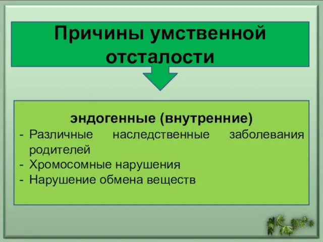 эндогенные (внутренние) Различные наследственные заболевания родителей Хромосомные нарушения Нарушение обмена веществ Причины умственной отсталости