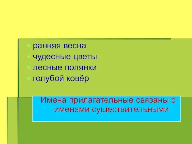 ранняя весна чудесные цветы лесные полянки голубой ковёр Имена прилагательные связаны с именами существительными