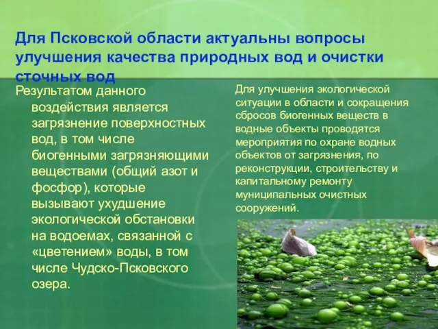 Для Псковской области актуальны вопросы улучшения качества природных вод и очистки сточных