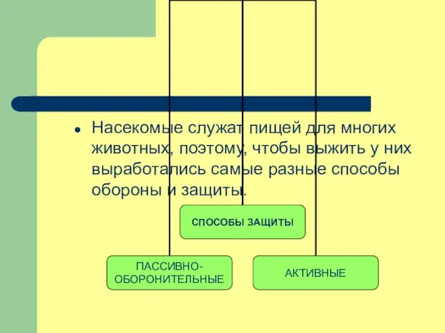 Насекомые служат пищей для многих животных, поэтому, чтобы выжить у них выработались