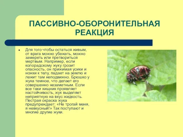 ПАССИВНО-ОБОРОНИТЕЛЬНАЯ РЕАКЦИЯ Для того чтобы остаться живым, от врага можно убежать, можно