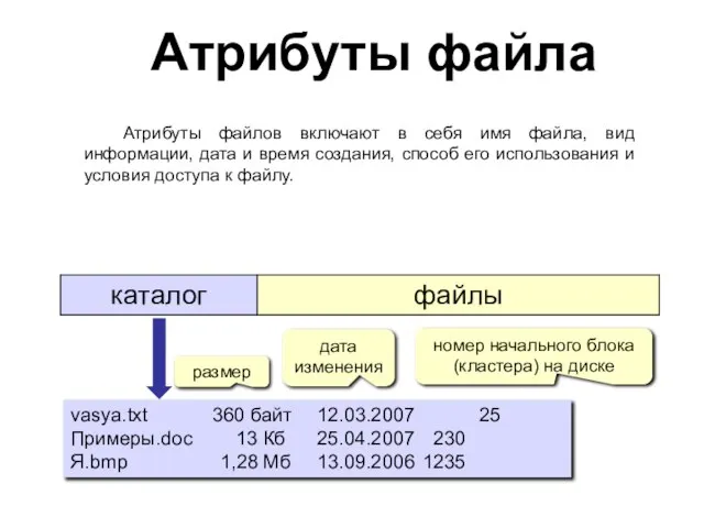 vasya.txt 360 байт 12.03.2007 25 Примеры.doc 13 Кб 25.04.2007 230 Я.bmp 1,28