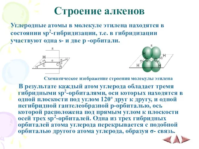 Строение алкенов Углеродные атомы в молекуле этилена находятся в состоянии sp2-гибридизации, т.е.