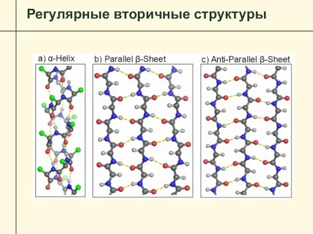 Регулярные вторичные структуры