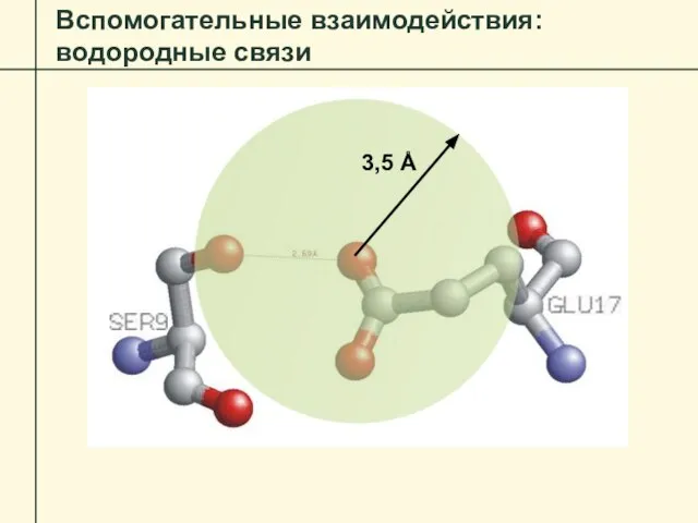 Вспомогательные взаимодействия: водородные связи