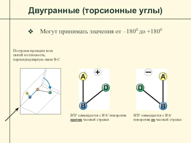 Двугранные (торсионные углы) Могут принимать значения от –1800 до +1800 B′D′ совмещается