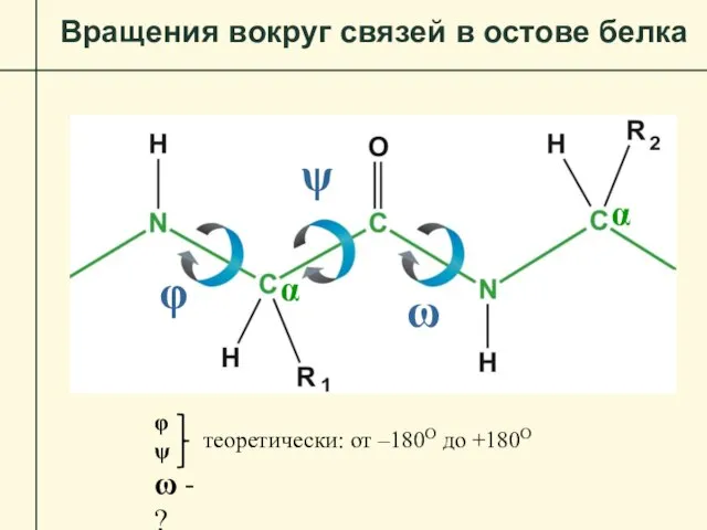 Вращения вокруг связей в остове белка