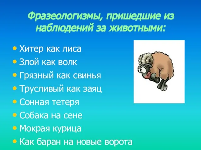 Фразеологизмы, пришедшие из наблюдений за животными: Хитер как лиса Злой как волк