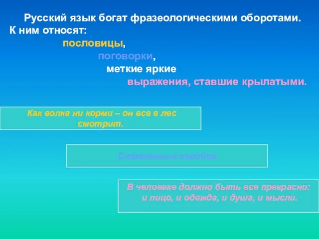 Русский язык богат фразеологическими оборотами. К ним относят: пословицы, поговорки, меткие яркие